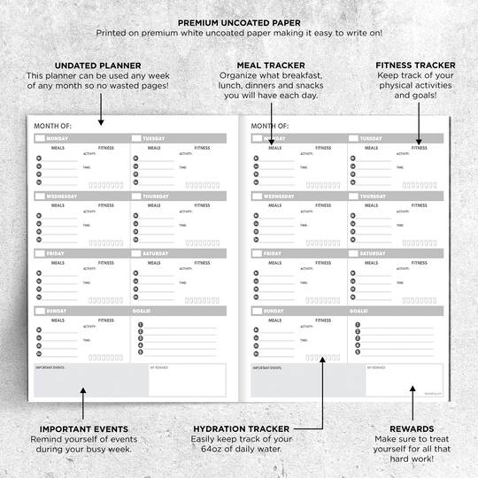 TF Publishing Large Undated Wellness Planner